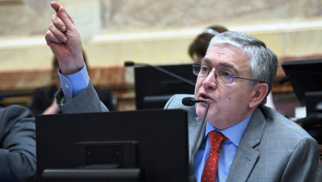 imagen Pais: "Michetti está obstaculizando el reglamento de la Cámara"