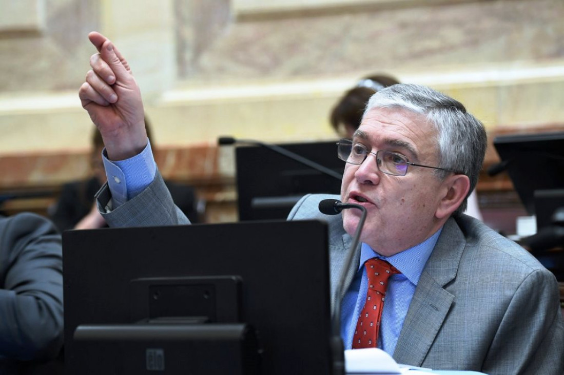 imagen Pais: "Michetti está obstaculizando el reglamento de la Cámara"
