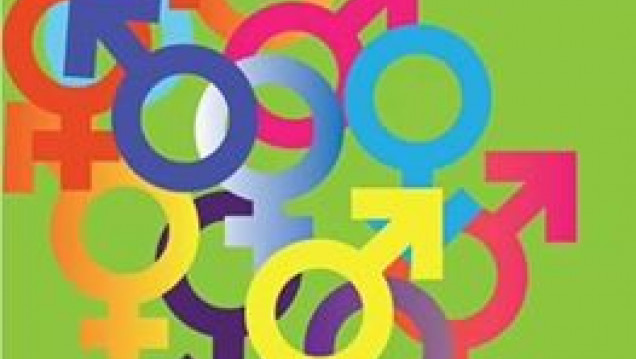 imagen "Trabajando por una atención inclusiva", a 20 años de la Ley de Salud Reproductiva