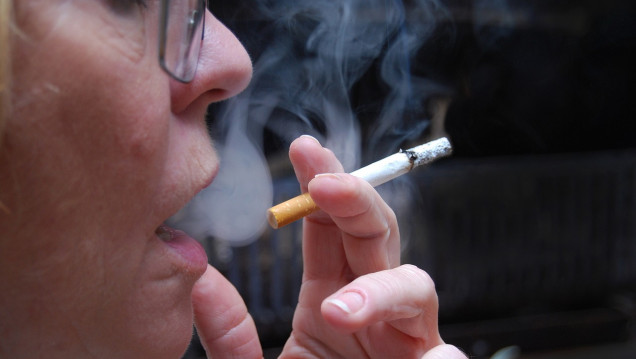 imagen Meta humo
