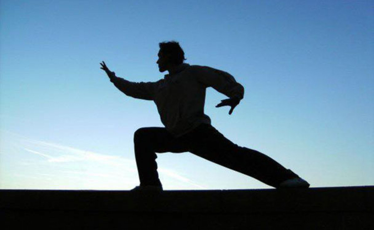 imagen EL CEREBRO QUE APRENDE: NEXOS ENTRE EL TAI CHI CHUAN Y LAS NEUROCIENCIAS