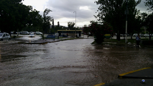 imagen "La tormenta fue una de las más fuertes de los últimos años"
