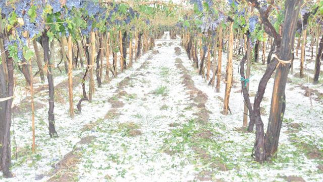 imagen Buscan combatir el granizo con cohetes