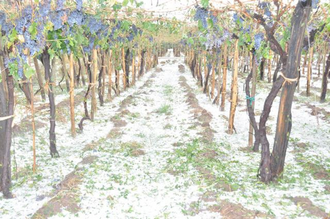 imagen Buscan combatir el granizo con cohetes