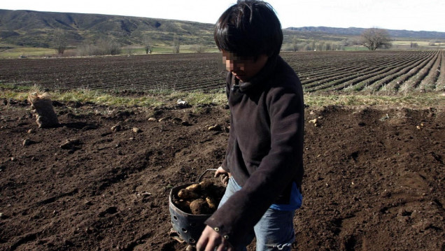 imagen En Argentina trabajan 8 millones de niños