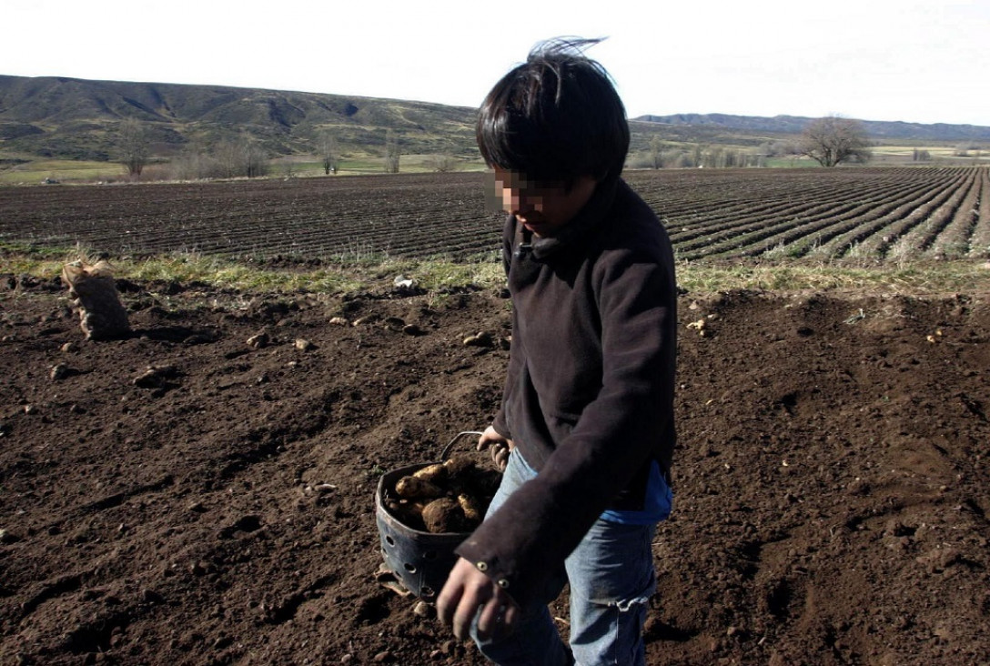 imagen En Argentina trabajan 8 millones de niños
