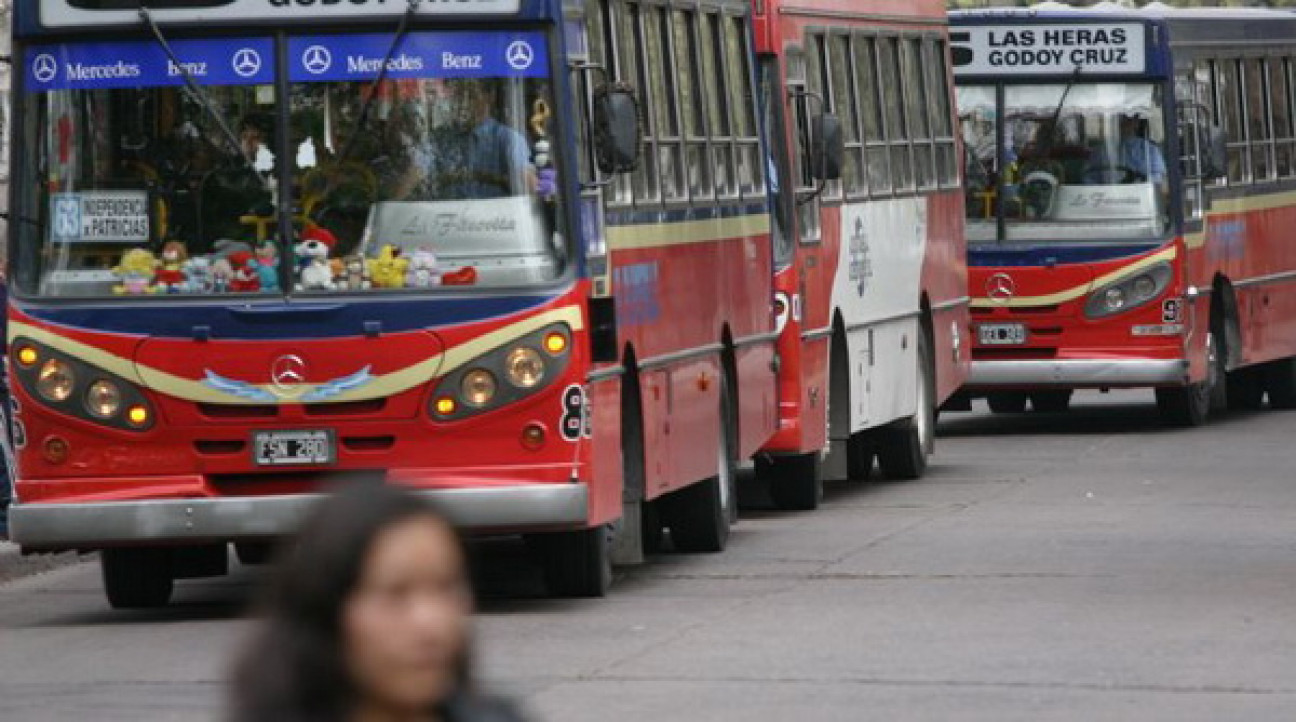 imagen Protectora reclama que el Ejecutivo garantice el servicio de colectivos
