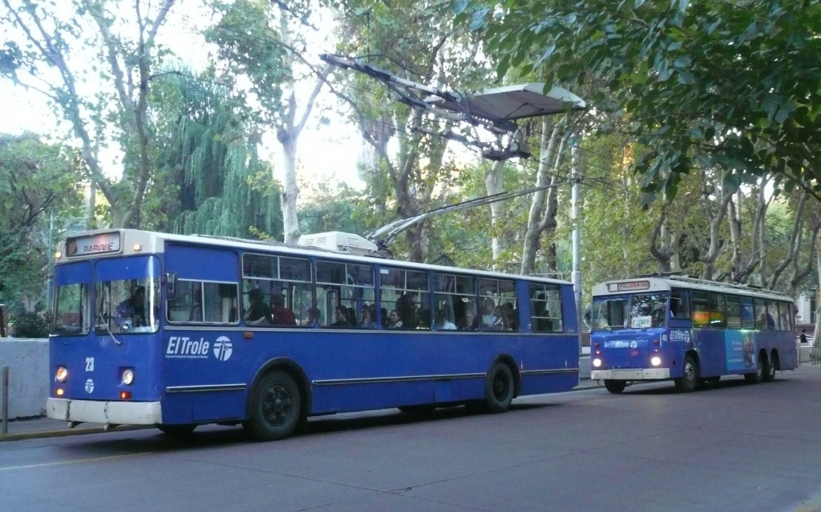 imagen Explicaron por qué los troles van a remate