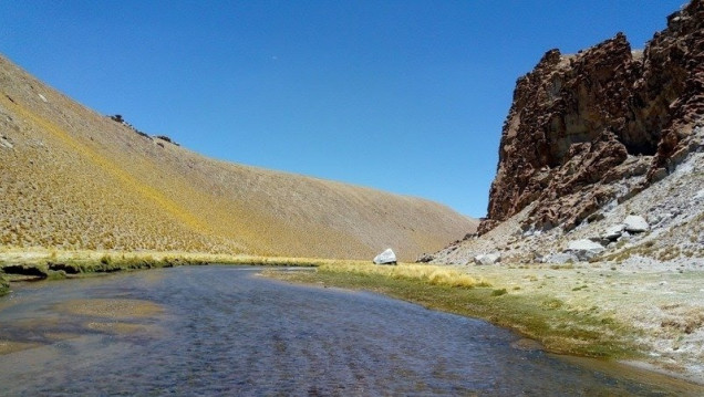 imagen Denuncian la extracción de litio en Catamarca que pondría en peligro el río Los Patos
