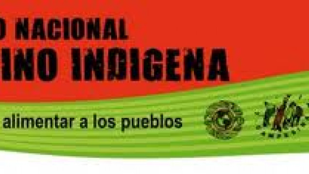 imagen La UST y su mirada en el Día Internacional De La Tierra