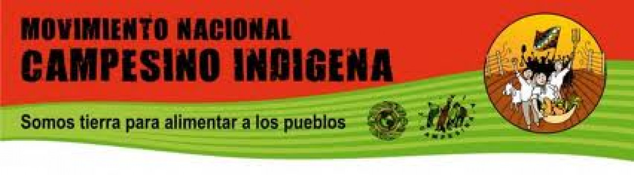 imagen La UST y su mirada en el Día Internacional De La Tierra