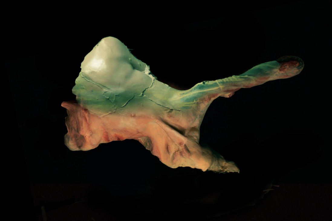imagen "Vasto Drama", la exposición que distorsiona la anatomía humana