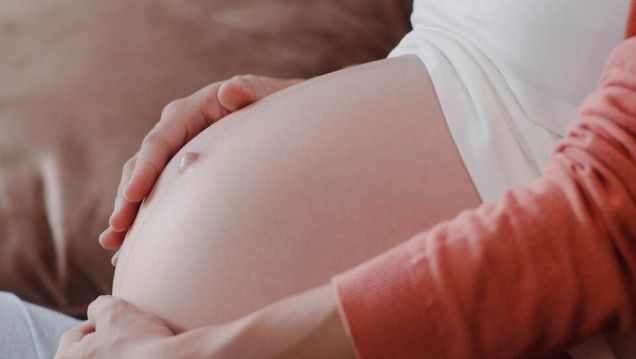 imagen Subrogación de vientre: "Lo más importante es preservar la salud de la gestante"