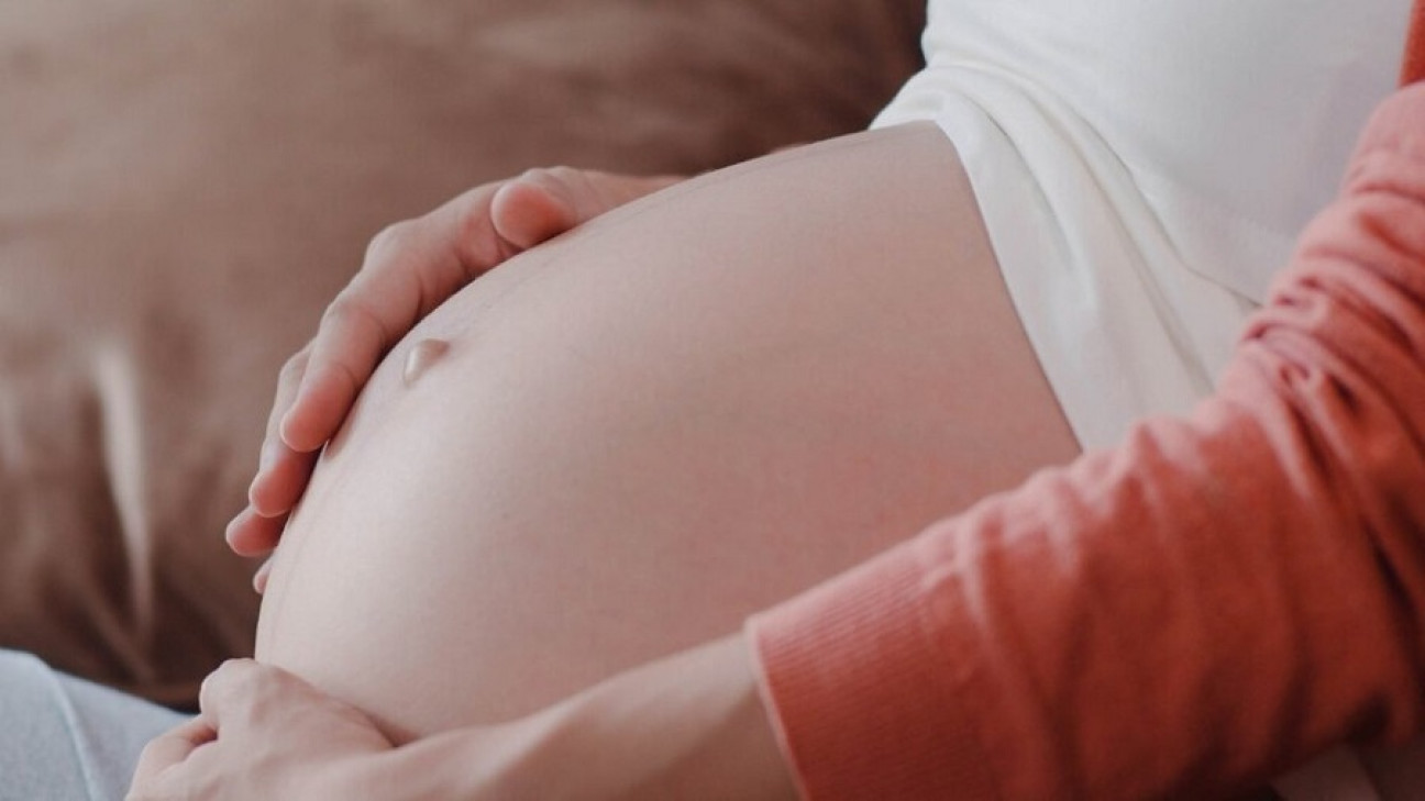 imagen Subrogación de vientre: "Lo más importante es preservar la salud de la gestante"
