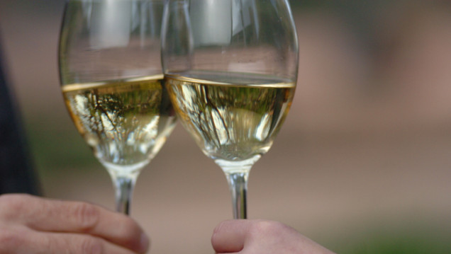 imagen Comenzó el rodaje del nuevo comercial de "Vino argentino"