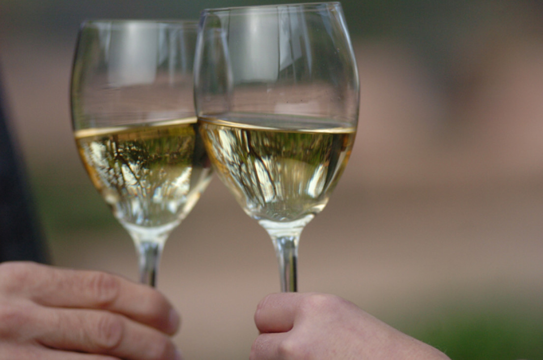 imagen Comenzó el rodaje del nuevo comercial de "Vino argentino"