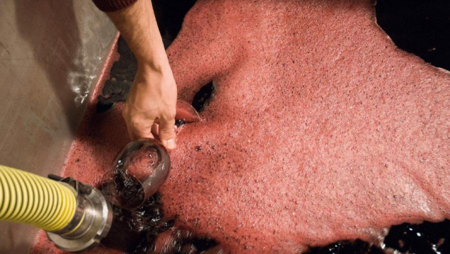 imagen Tildan de "burocrático" al registro de exportadores de excedente de vinos