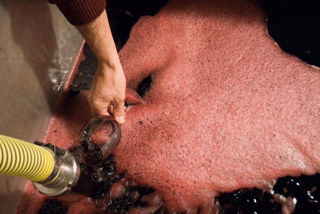 imagen Tildan de "burocrático" al registro de exportadores de excedente de vinos