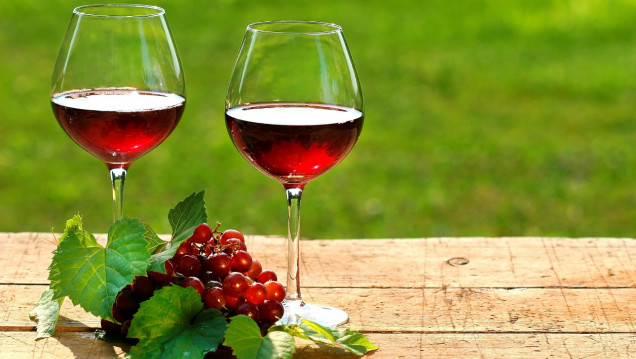 imagen Con Gabriela Malizia hablamos de vinos