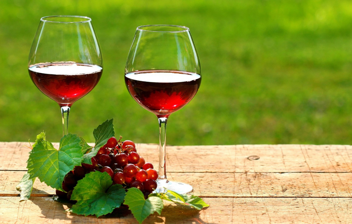 imagen Con Gabriela Malizia hablamos de vinos