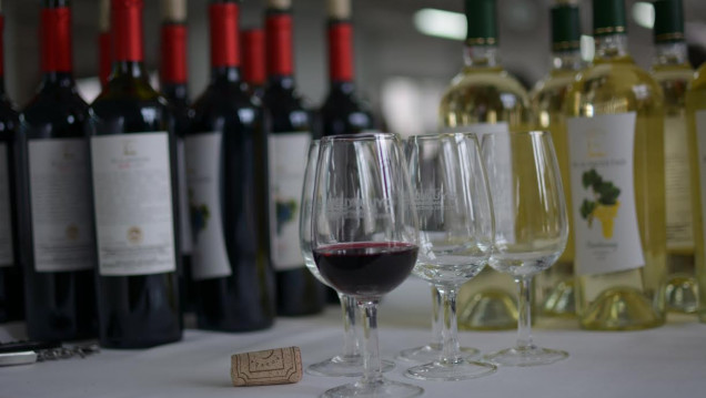 imagen Buscan gravar la importación de vinos chilenos
