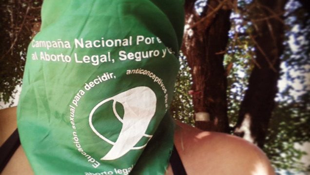 imagen Reclamaron protocolos de atención para casos de abortos legales