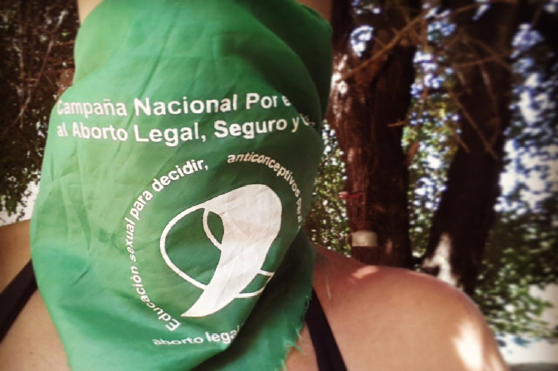 imagen Reclamaron protocolos de atención para casos de abortos legales