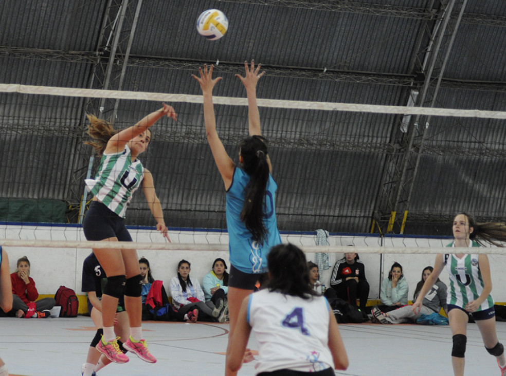 imagen Vóley femenino: Las dejó verdes