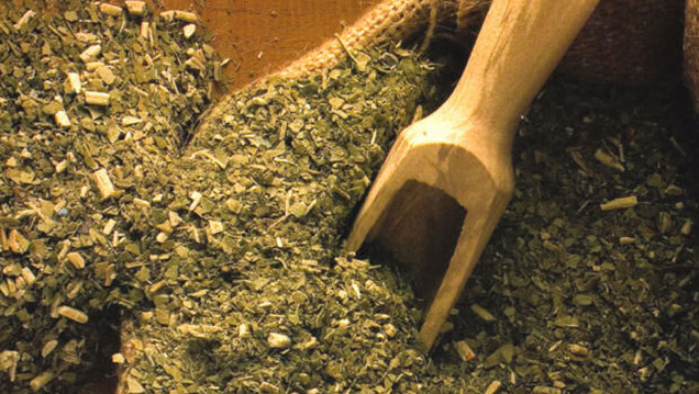 imagen La yerba mate, un producto con alternativas de uso 