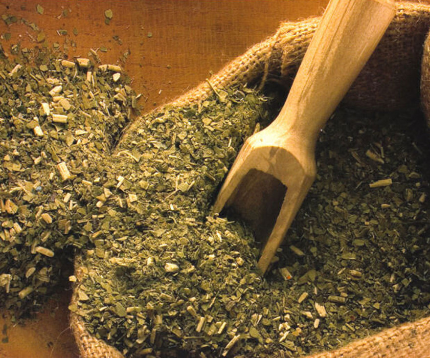imagen La yerba mate, un producto con alternativas de uso 