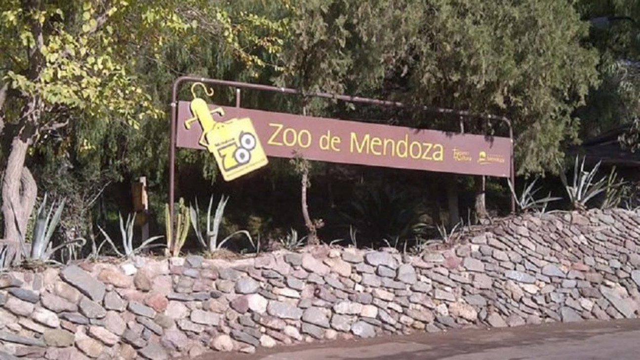 imagen "Con la emergencia ambiental, hay un decidido apoyo y gestión para que el Zoo empiece a mejorar"