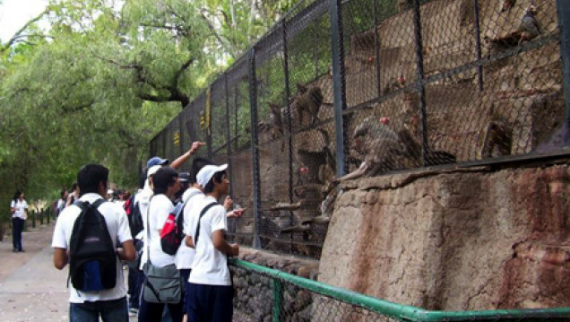 imagen Columna de Ecología: Proyecto para reconvertir el Zoológico de Mendoza