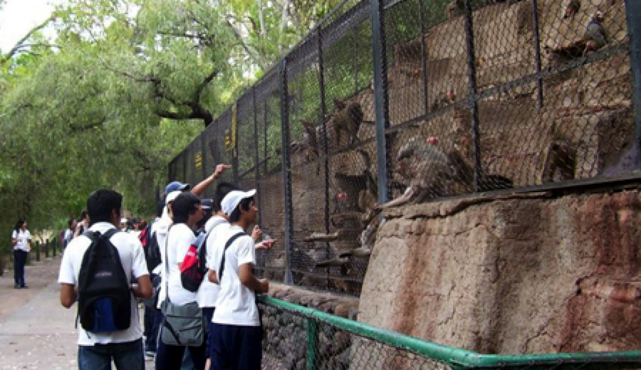 imagen Columna de Ecología: Proyecto para reconvertir el Zoológico de Mendoza