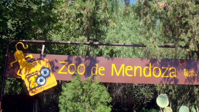 imagen Piden la liberación de una chimpancé del Zoo de Mendoza