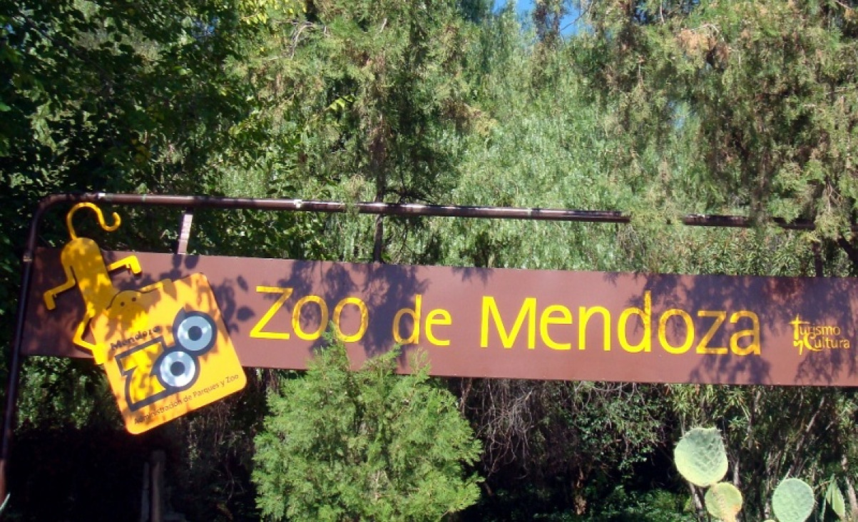 imagen Piden la liberación de una chimpancé del Zoo de Mendoza