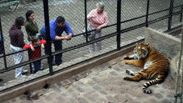 imagen Organizaciones y ciudadanos presentaron un proyecto para la reconversión del zoológico de Mendoza