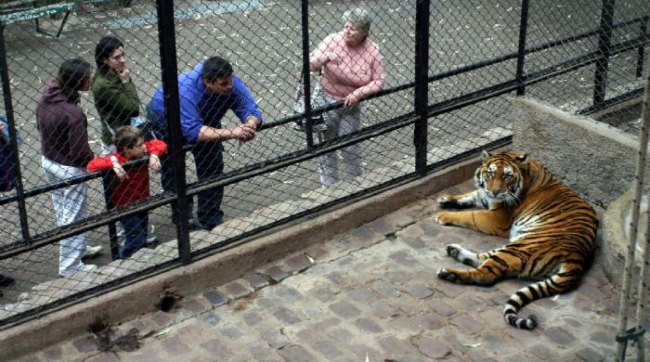 imagen Organizaciones y ciudadanos presentaron un proyecto para la reconversión del zoológico de Mendoza