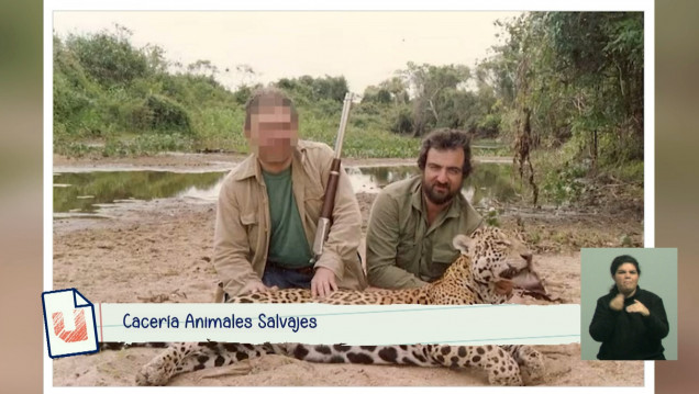 imagen El lado B de la cacería "autorizada" en Argentina