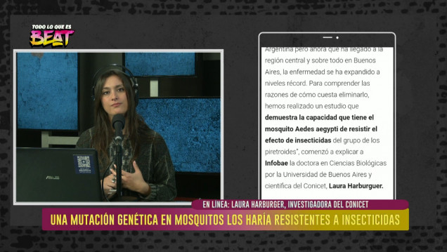 imagen Descubren una mutación genética en mosquitos transmisores del dengue resistentes a insecticidas 