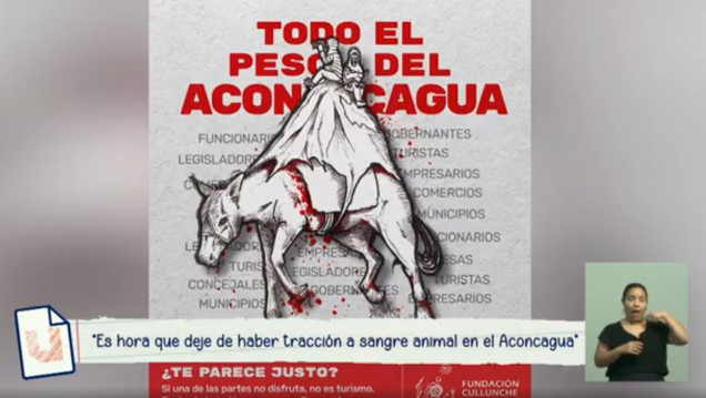 imagen "Es hora de que deje de haber tracción a sangre en el Aconcagua"