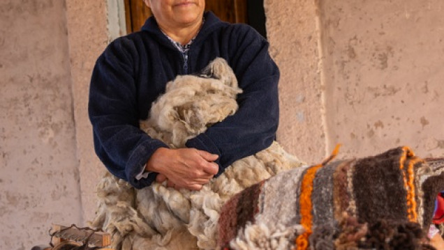 imagen Emprender e innovar: formación de estudiantes de la escuela Raíces Huarpes y comunidad de Lavalle junto con la Universidad