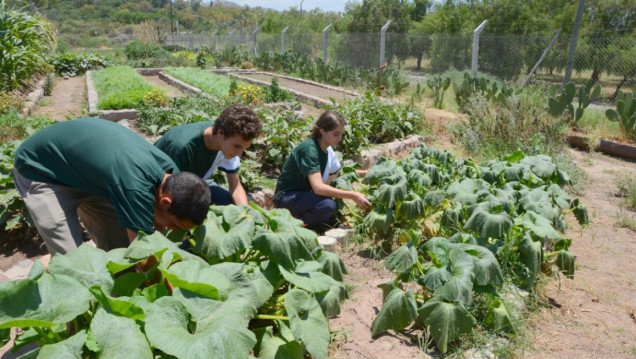 imagen Impulsores UNCUYO: el Liceo Agrícola inicia los primeros pasos para tener su propia bodega