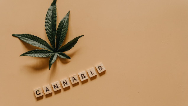 imagen Acompañamiento para personas con fibromialgia y uso terapéutico de cannabis medicinal 