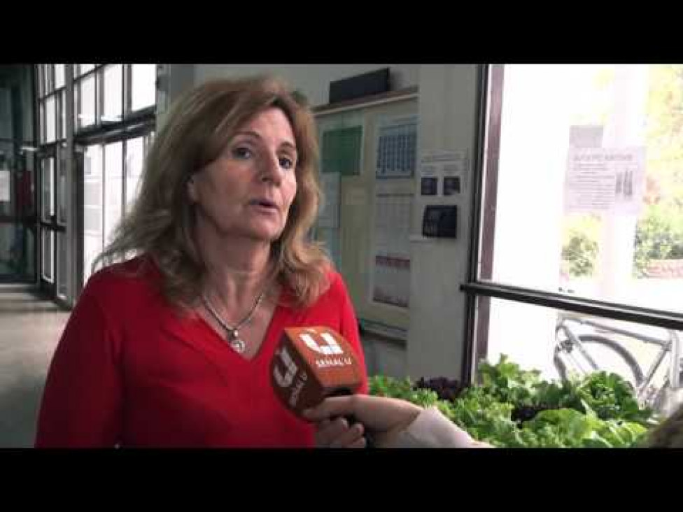 imagen La Facultad de Ciencias Agrarias puso a la venta lechugas hidropónicas
