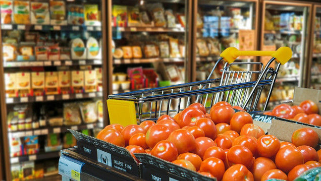 imagen La canasta básica registró una suba del 4,9% en marzo