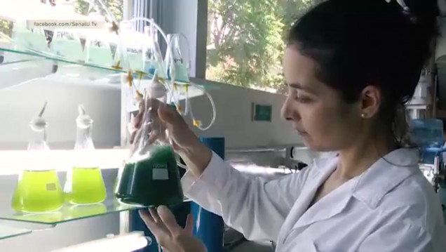 imagen Instituto de Energía