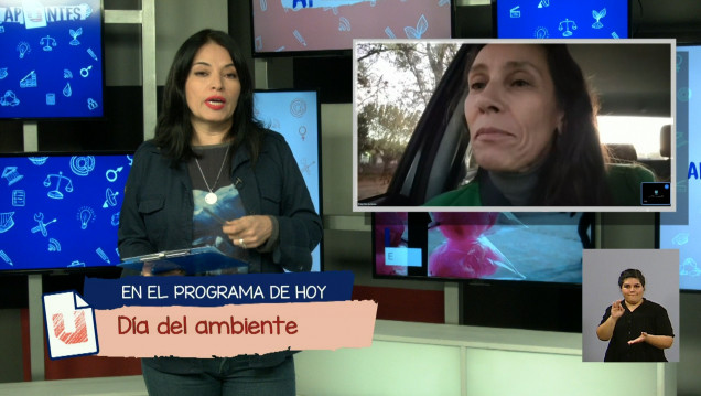 imagen Día del Ambiente: la importancia de tomar conciencia y actuar