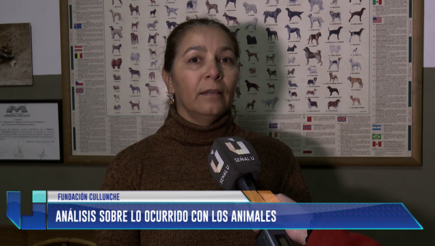 imagen Análisis sobre lo ocurrido con los animales en el Zoo de Mendoza