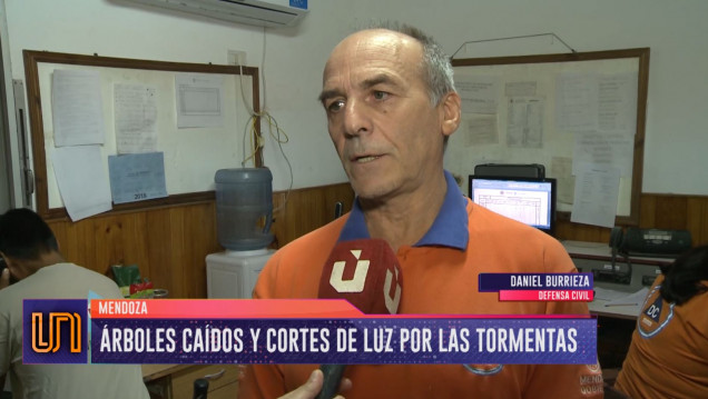 imagen Fuerte tormenta en Mendoza: cayeron 14 mm de agua 