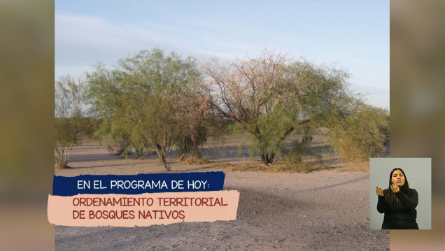 imagen Ordenamiento territorial de bosques nativos en Mendoza